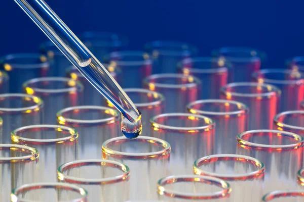 Top Transfection Solutions for High-Performance Cell Research