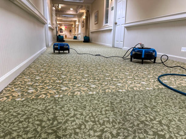 Emergency water damage restoration near me for Immediate Property Protection