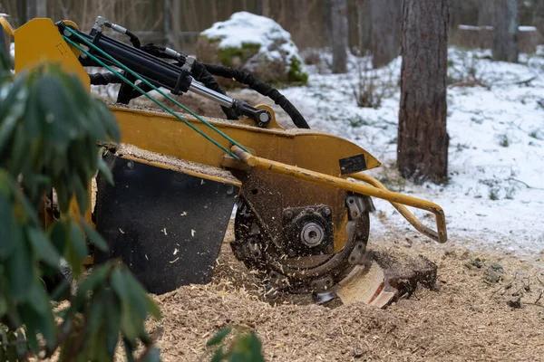 Avoid Fence Installation Problems with Professional Stump Grinding