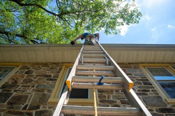 Get Your Gutters Cleaned by Bellingham Professionals