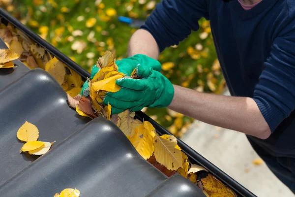 Effective Solar Panel Cleaning for Better Panel Maintenance