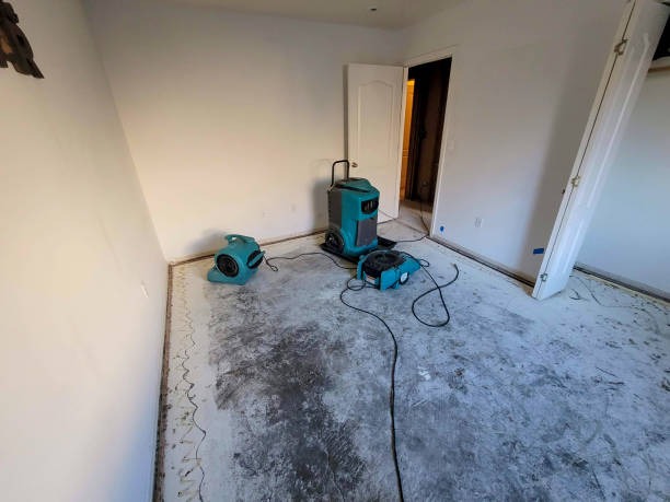 Locate Mold Remediation Near Me for Professional Mold Inspection and Remediation